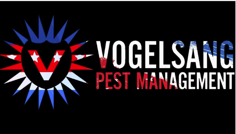 Vogelsang